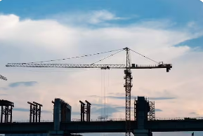 �廪��ѧ����ҵ��ѵ�౨������