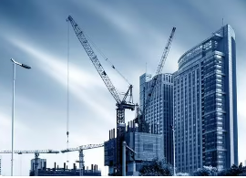 �廪��ѧ����ѧ��ѵ�ࡪ������������ҵ������