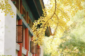 ����edp�ܲ����ްࡪ�������������ܺ��쵼��