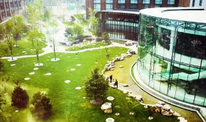 �����Ÿ߼����ް����