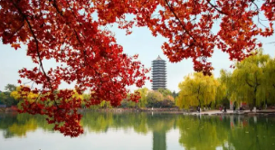 ����emba���ް���ô������