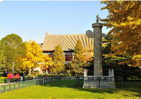 �����ҵͶ�����ް����