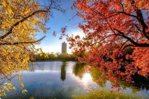 �����Ž������ް����