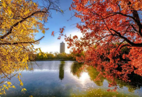 �������ܲ����ް����