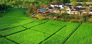 ����������ˡ���������ɫ��ҵ�������������ѵ��