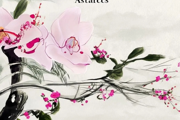 �й���ѧʷ���� 2025�걨������������