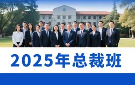 2025 ���廪��ѧʵս���ް��Ƽ�