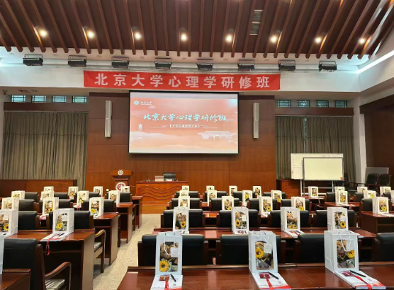 2025������ѯʵ��γ�ѡ�ĸ���