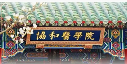 2025�걱��Э��ҽѧԺ����γ��Ƽ�