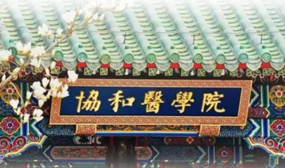 2026�걱��Э��ҽԺԺ��ְҵ����ѵ���Ƽ�