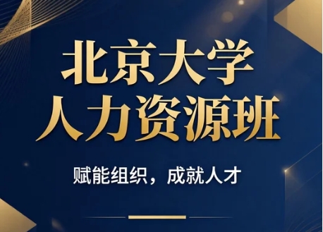 CHO�߼�����ϵͳְҵ���ް�