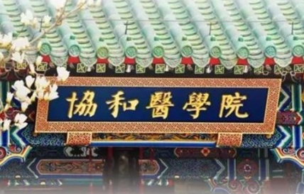 2026����Э��ҽѧԺ��ѵ���ĵ������γ�����Щ